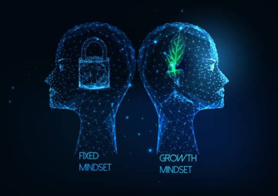  Fixed VS Growth Mindset