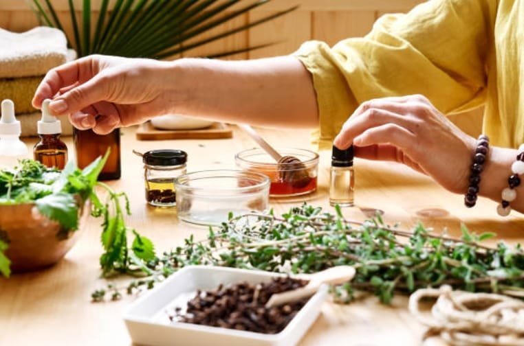 Healing herbs and plants for healthy digestion